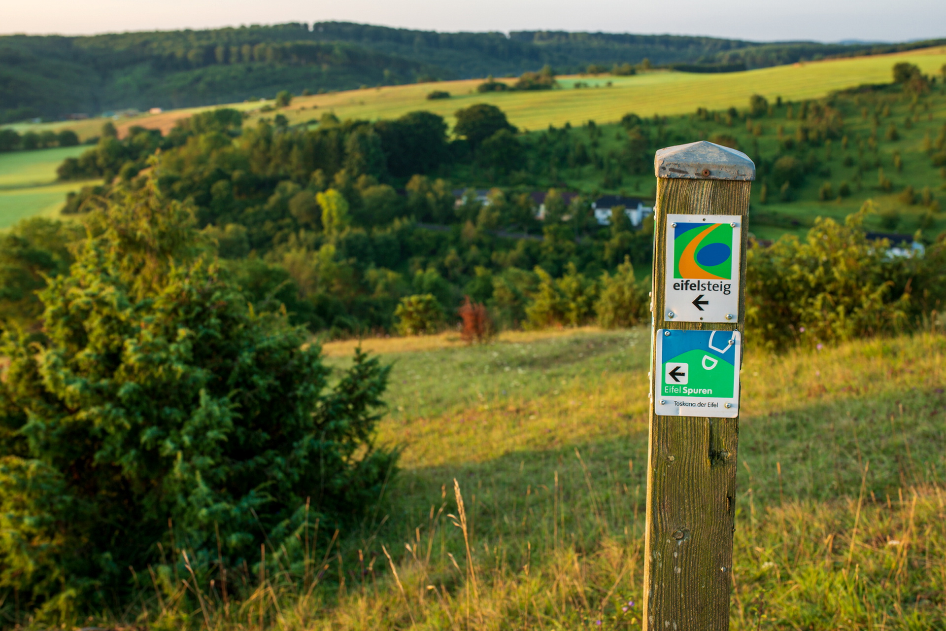 Wer wird „Deutschlands schönster Wanderweg“? - EifelSpur „Toskana der ...