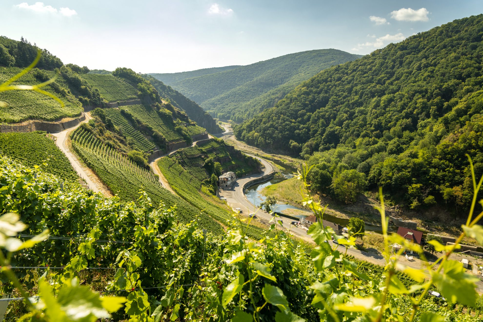 Im Ahrtal ist Aufbruch-Stimmung im Tourismus spürbar - eifelschau.de